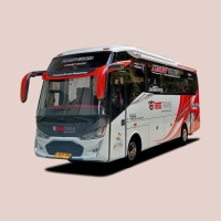 Medium Bus